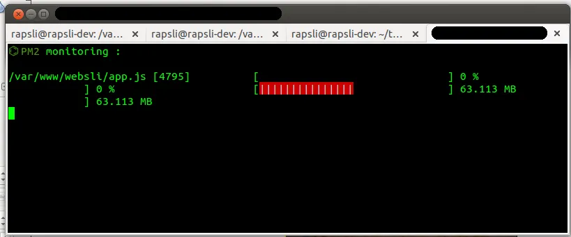 PM2 Node.js Monitor