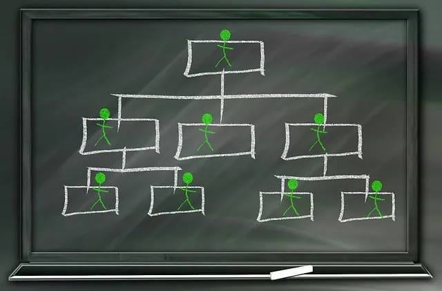 Organigramm